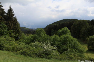 7.5. Alblandschaft IMG_1054.jpg